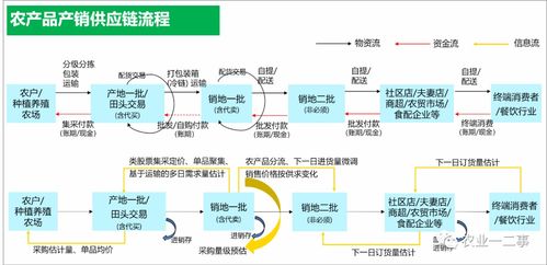 什么是真正的農產品供應鏈